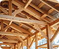 Wooden beams and supports form the framework of a roof, showcasing exposed timber construction and natural light streaming through gaps in the structure.
